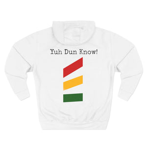 Unisex Premium Pullover Hoodie- Multi-Color (CHO-BUM)