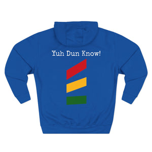 Unisex Premium Pullover Hoodie- Multi-Color (God-Nah)