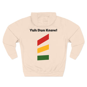 Unisex Premium Pullover Hoodie- Multi-Color (Yaad-Ting)