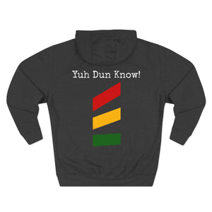 Unisex Premium Pullover Hoodie- Multi-Color (God-Nah)