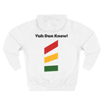 Load image into Gallery viewer, Unisex Premium Pullover Hoodie- Multi-Color (Yaad-Ting)
