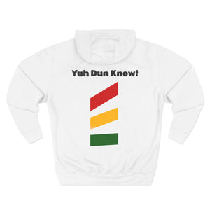 Unisex Premium Pullover Hoodie- Multi-Color (Yaad-Ting)