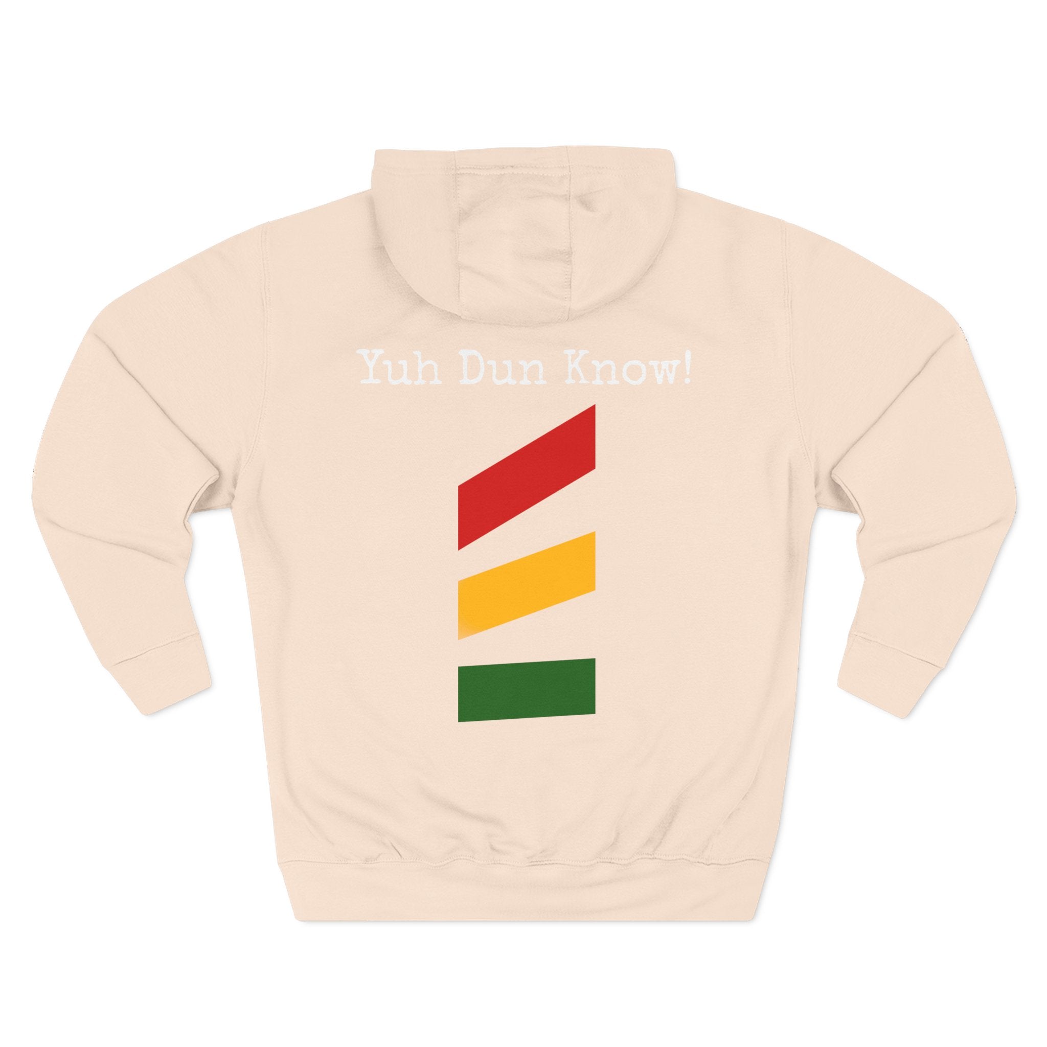 Unisex Premium Pullover Hoodie- Multi-Color (God-Nah)