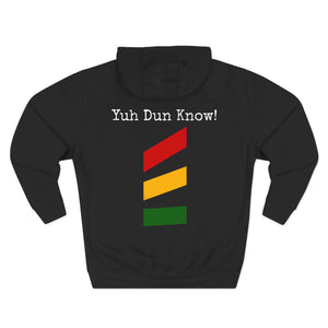 Unisex Premium Pullover Hoodie- Multi-Color (God-Nah)