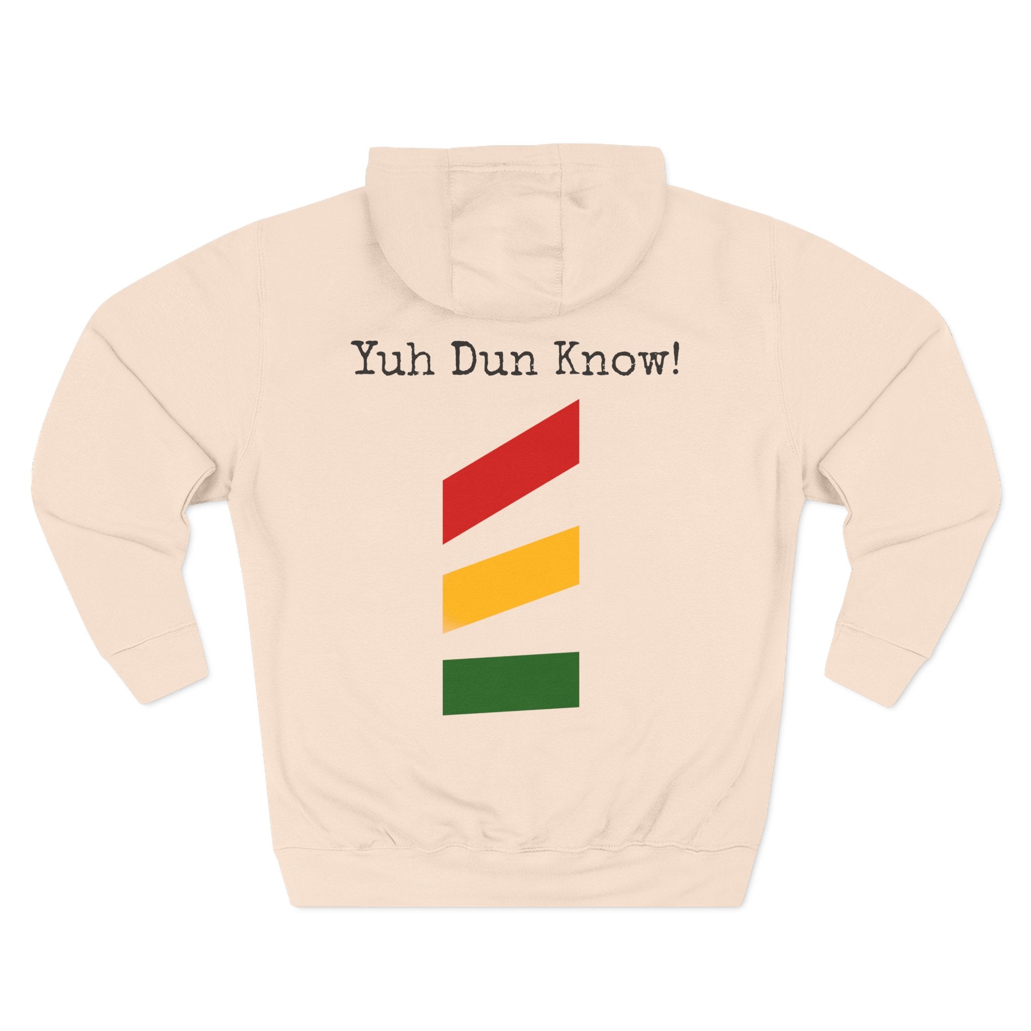 Unisex Premium Pullover Hoodie- Multi-Color (CHO)