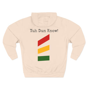 Unisex Premium Pullover Hoodie- Multi-Color (CHO)