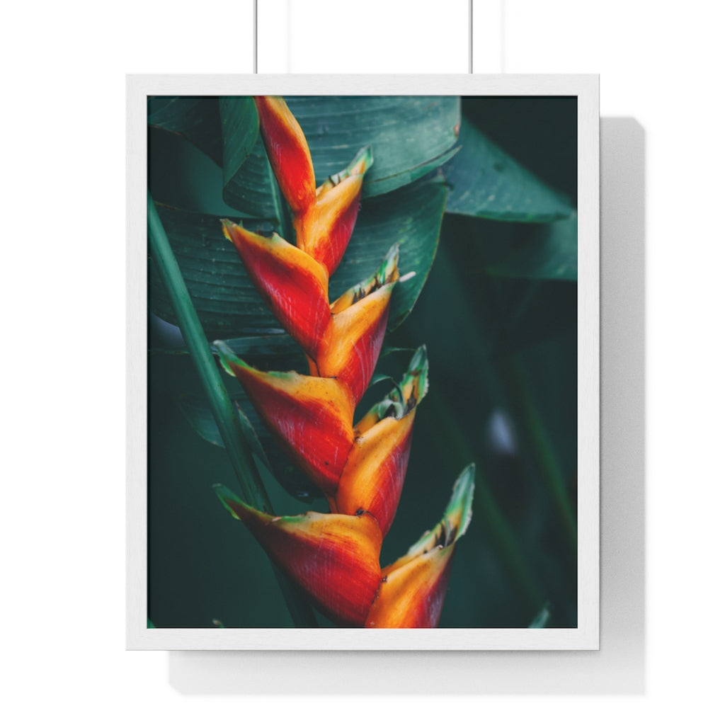 Premium Framed Vertical Poster (Red Plant) - Coodeh Lifestyle