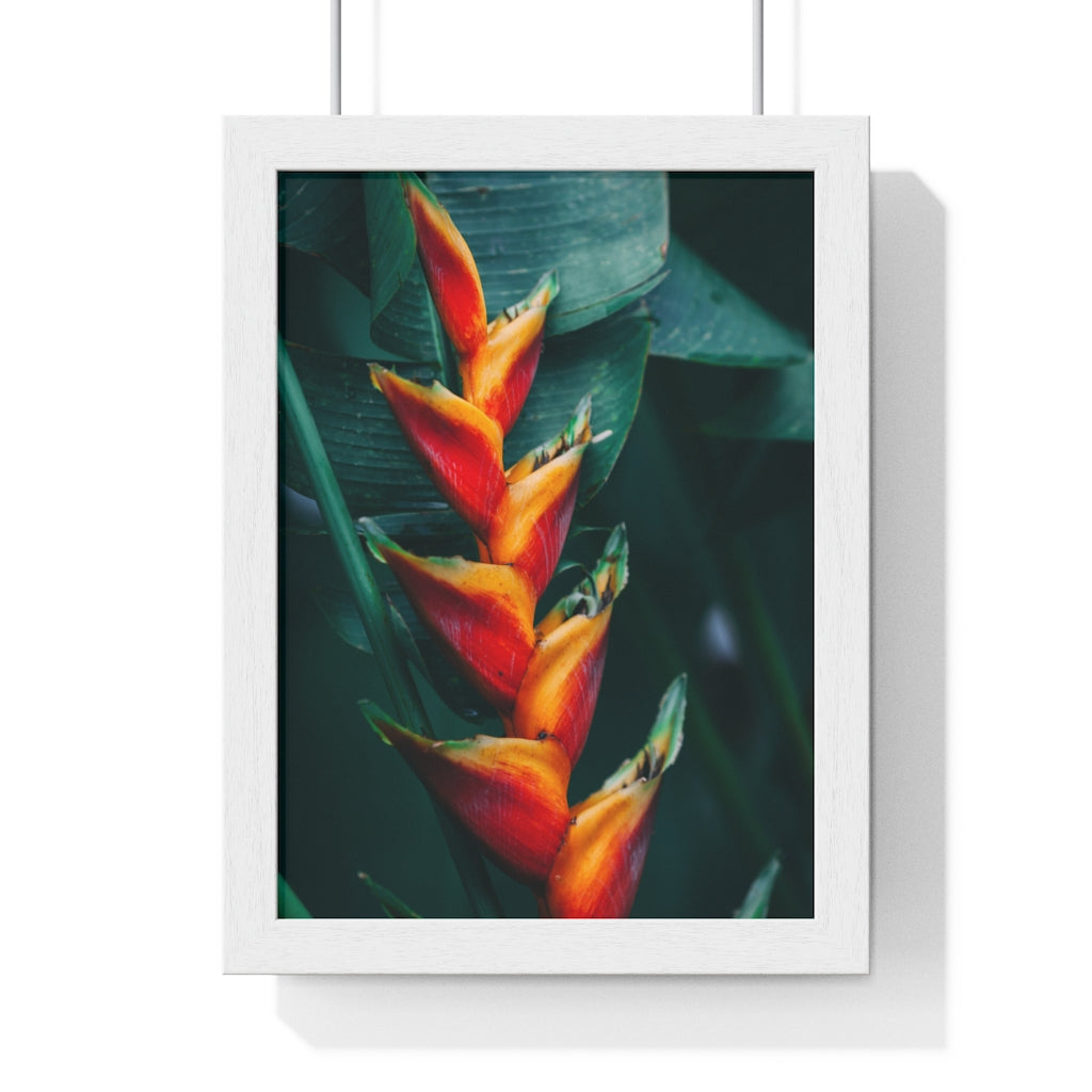 Premium Framed Vertical Poster (Red Plant) - Coodeh Lifestyle