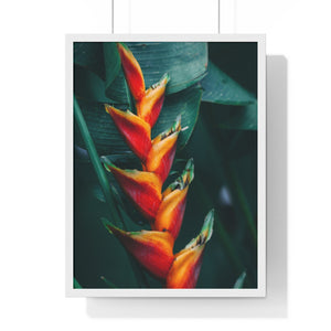 Premium Framed Vertical Poster (Red Plant) - Coodeh Lifestyle