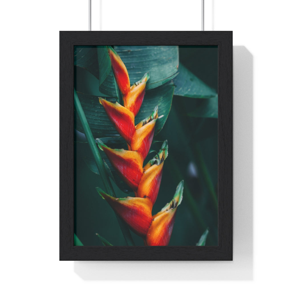 Premium Framed Vertical Poster (Red Plant) - Coodeh Lifestyle