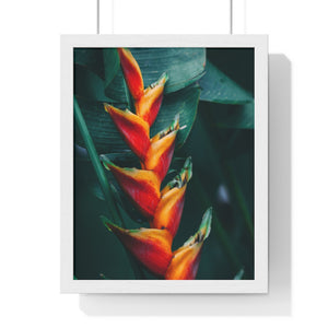 Premium Framed Vertical Poster (Red Plant) - Coodeh Lifestyle